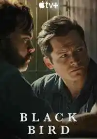 сериал Чёрная птица