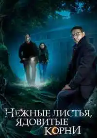 сериал 