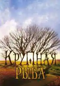 фильм 